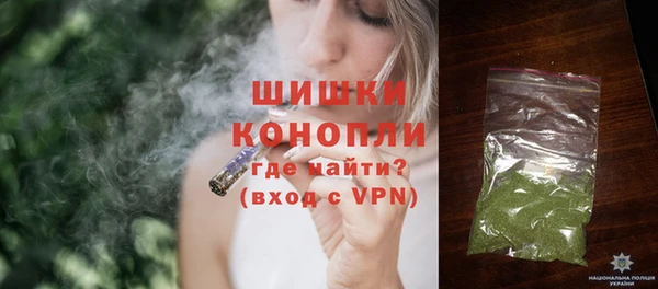 прущие грибы Балабаново