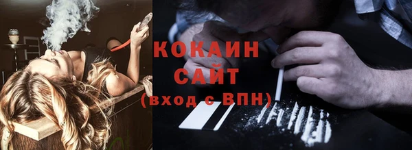 прущие грибы Балабаново