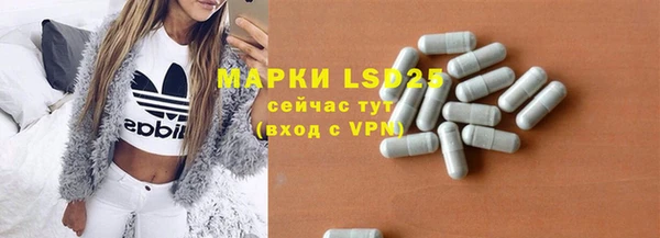 прущие грибы Балабаново