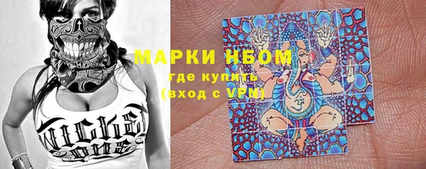 прущие грибы Балабаново