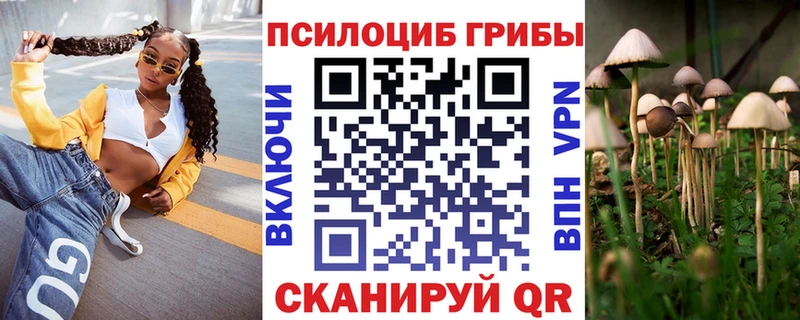 где найти   дарк нет клад  Псилоцибиновые грибы Cubensis  Сертолово 